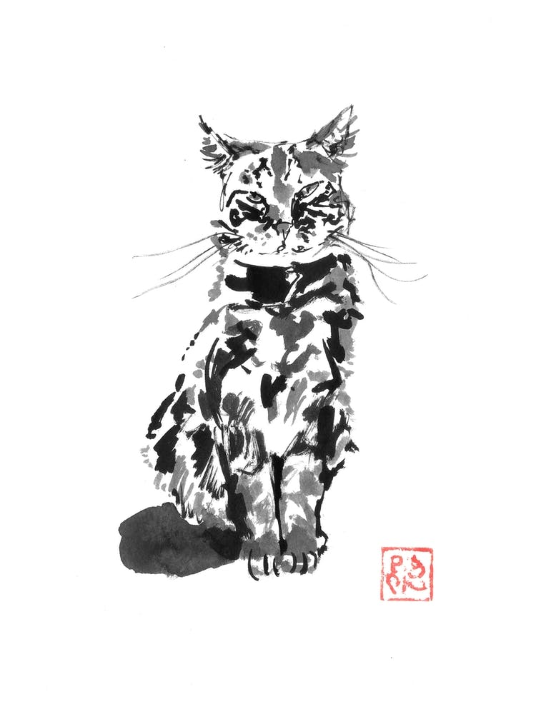 Suspicious Cat