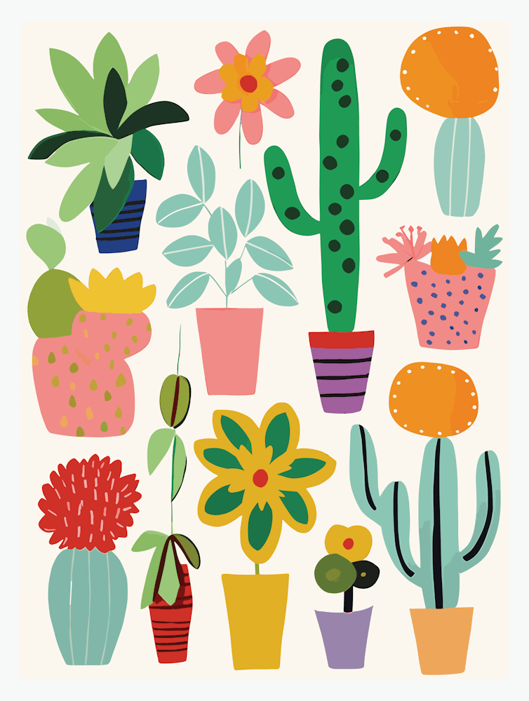 Collection de Cactus