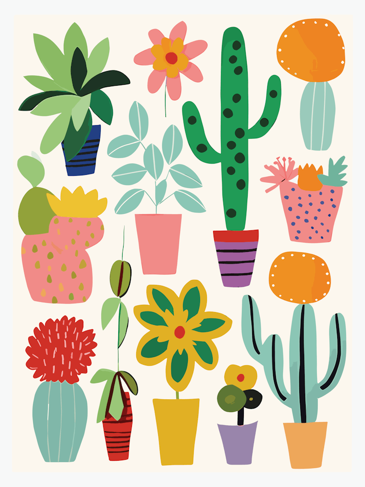 Cactus Collection