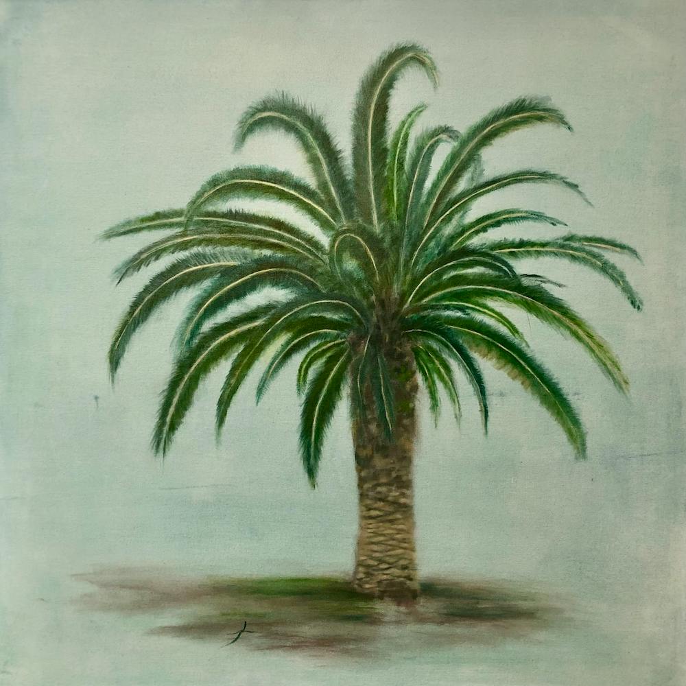 Canary Palm