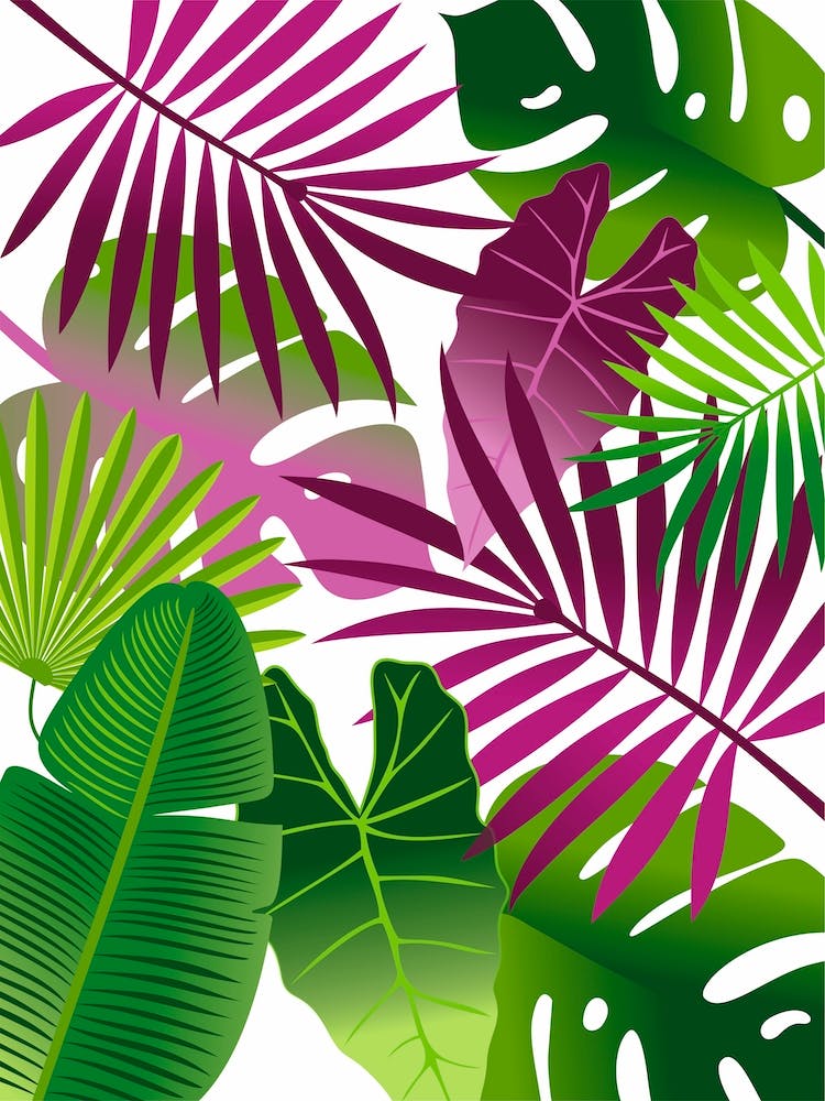 Tropical Leaves