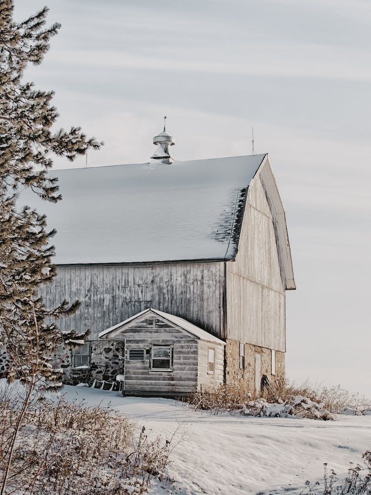 Winter Barn Scenery