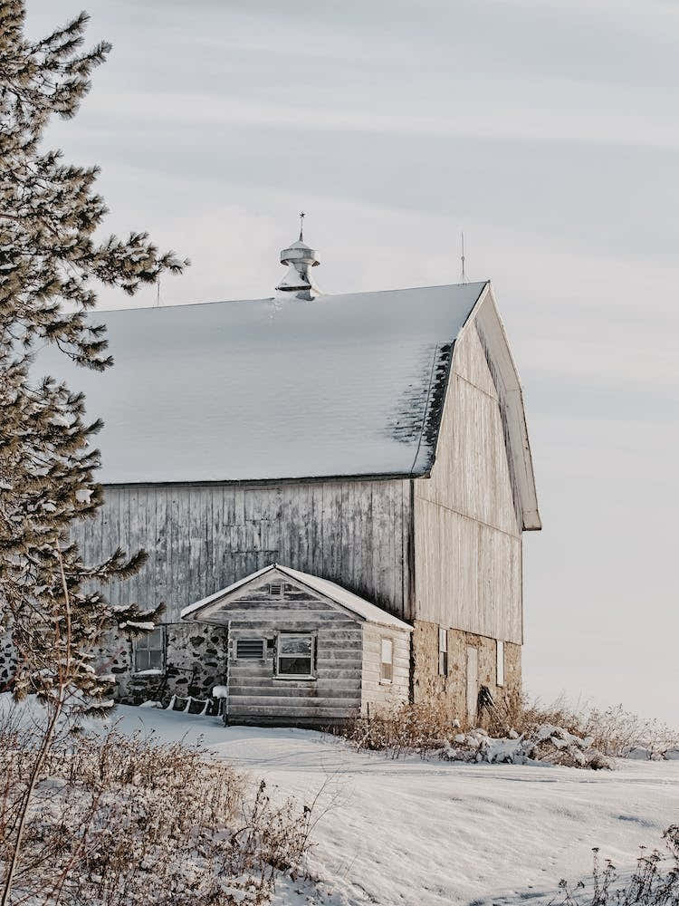Winter Barn Scenery