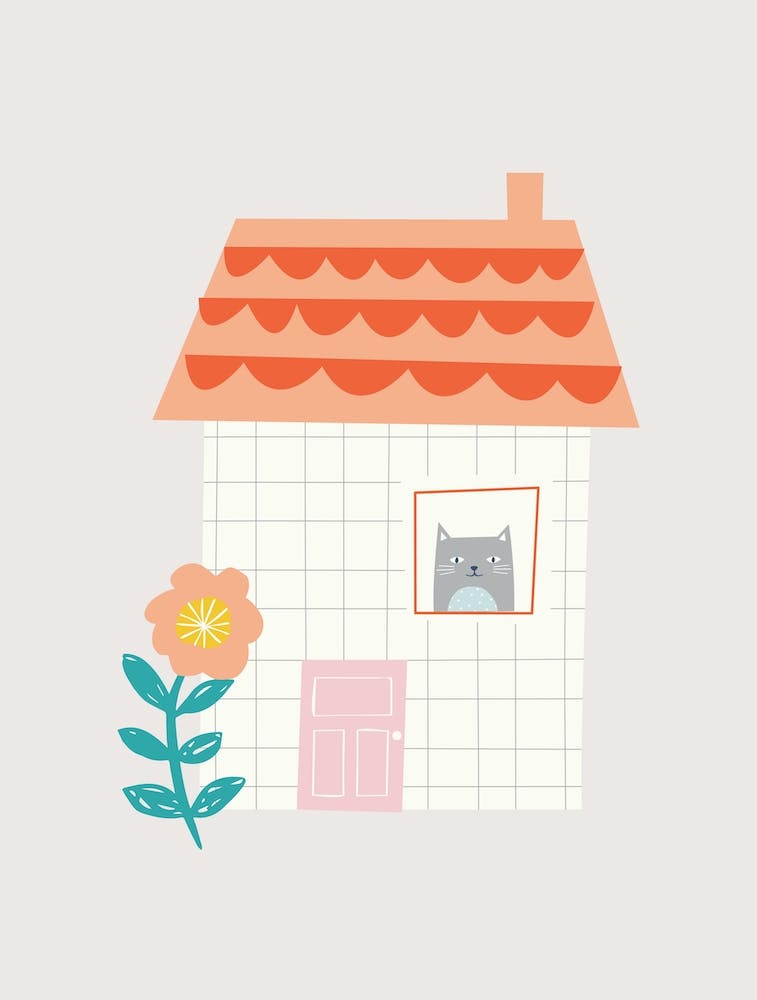 Cat In A House