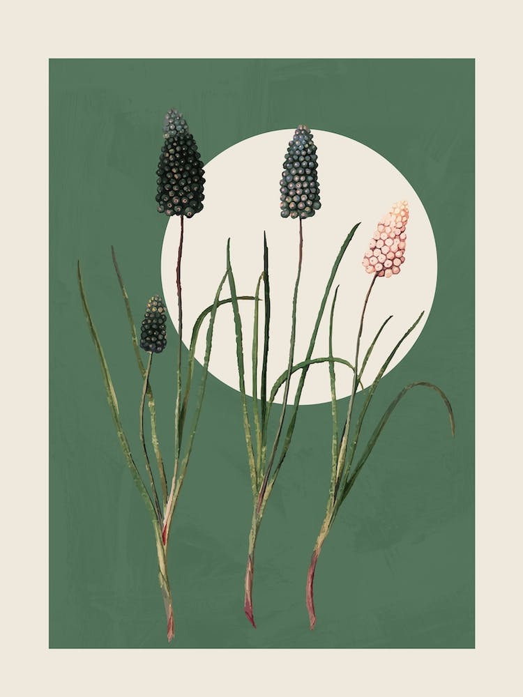 July Flowers Art 1