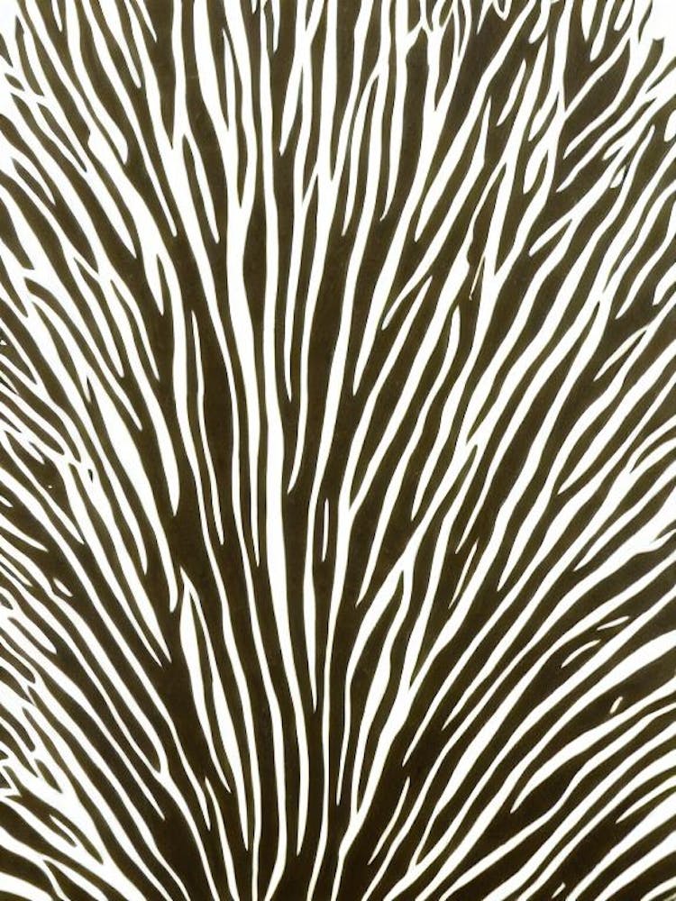 Acropora Aspera Linocut