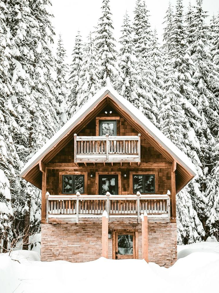 Cabin In The Snowy Pine Woods
