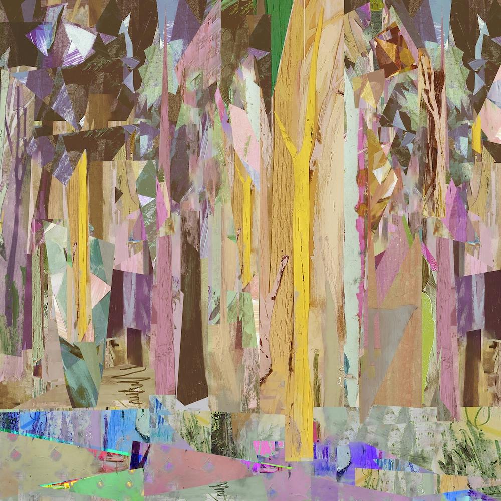 Copse Fragments 2017