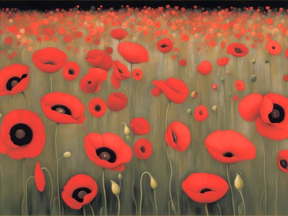 Poppies 12