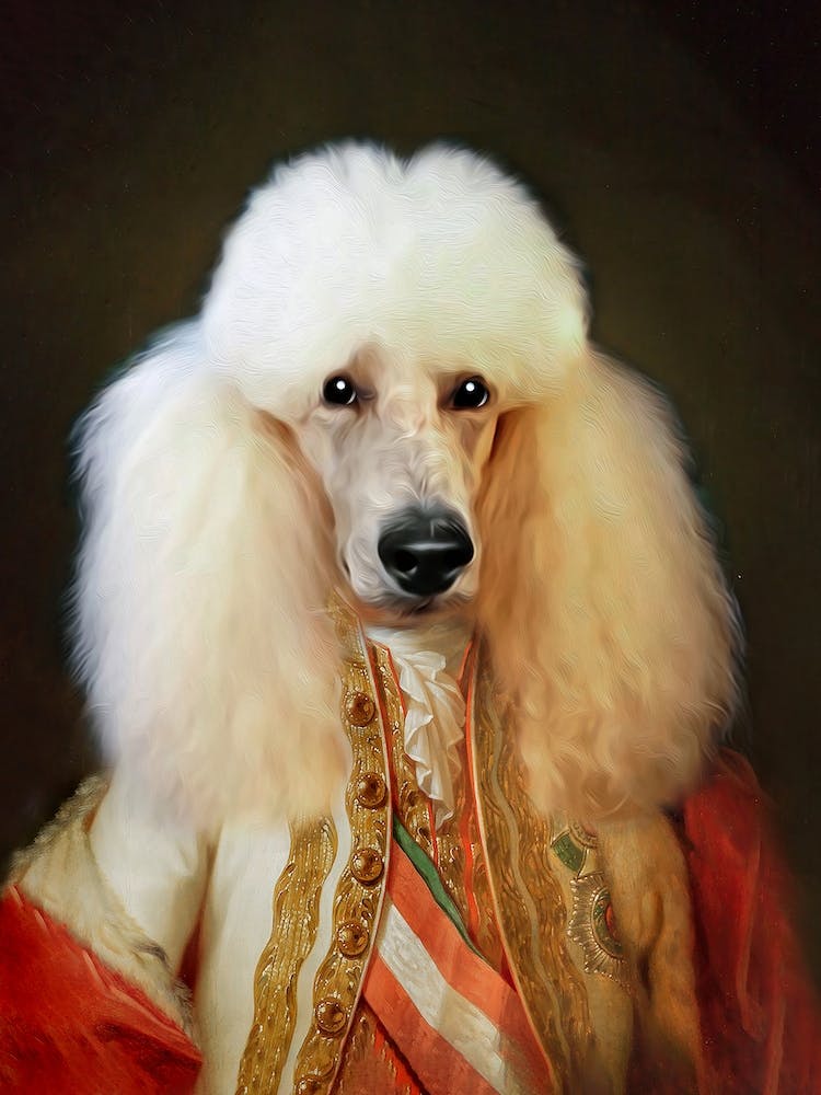 Zadig The Kings Poodle Pet Portraits
