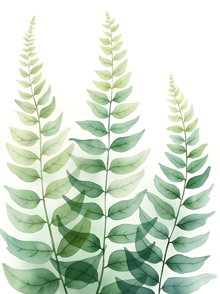 Minimalist Sage Flower Field