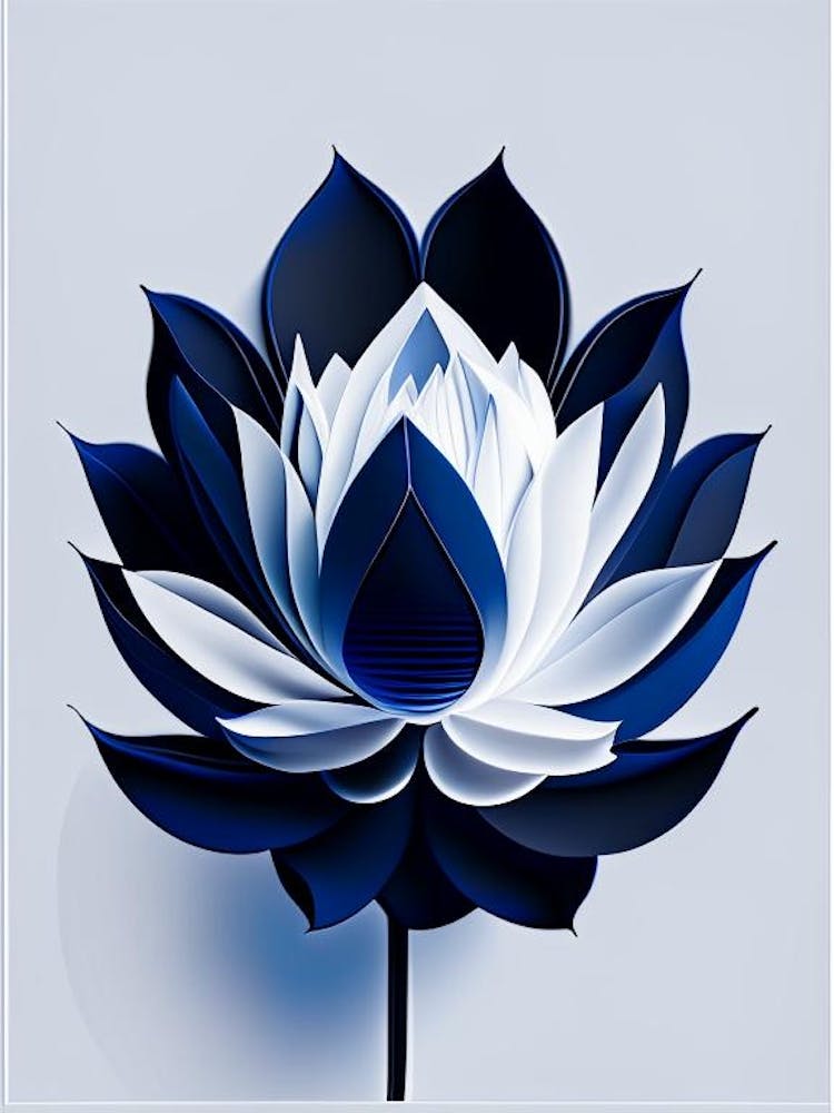 Blue Lotus Black And White Geometric 4