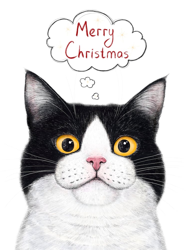 Cat Merry Christmas