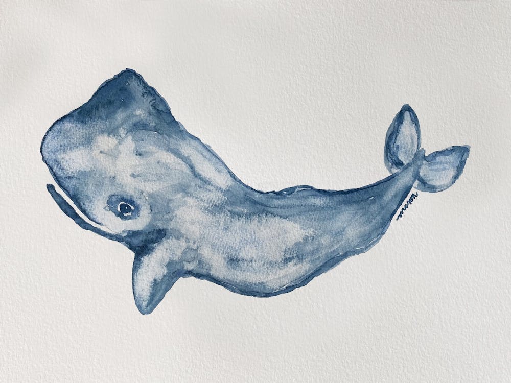 Blue Whale Watercolor 1