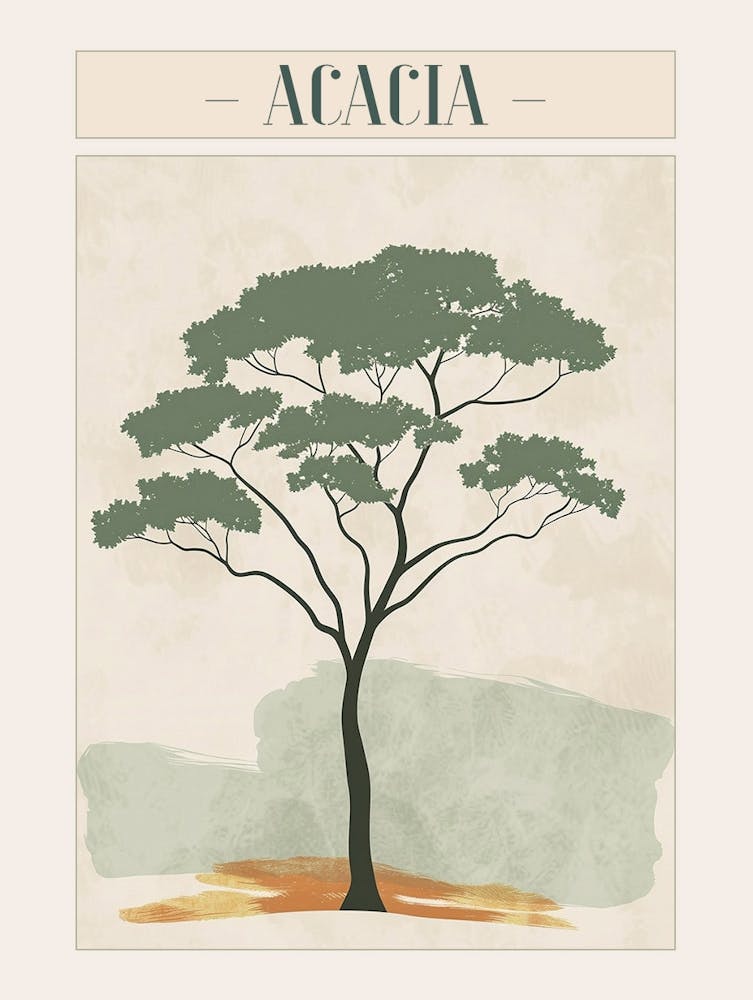 Acacia Tree Minimal Japandi Illustration 4 Poster