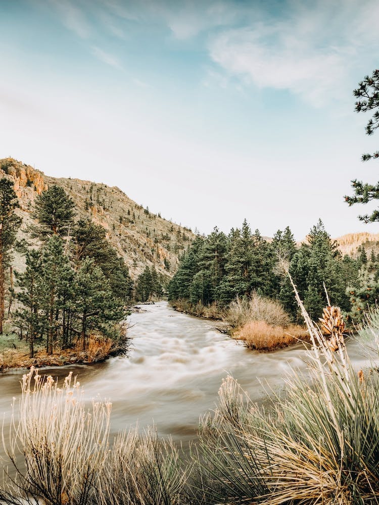 Confluence de ruisseau de montagne
