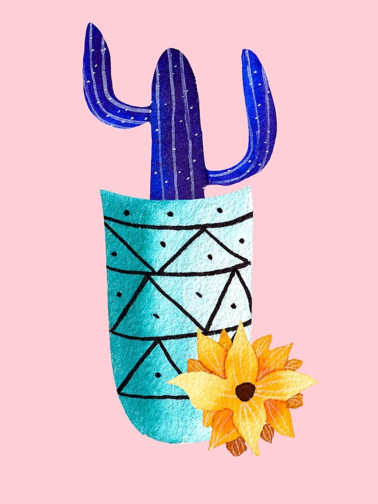 Galaxy Cactus