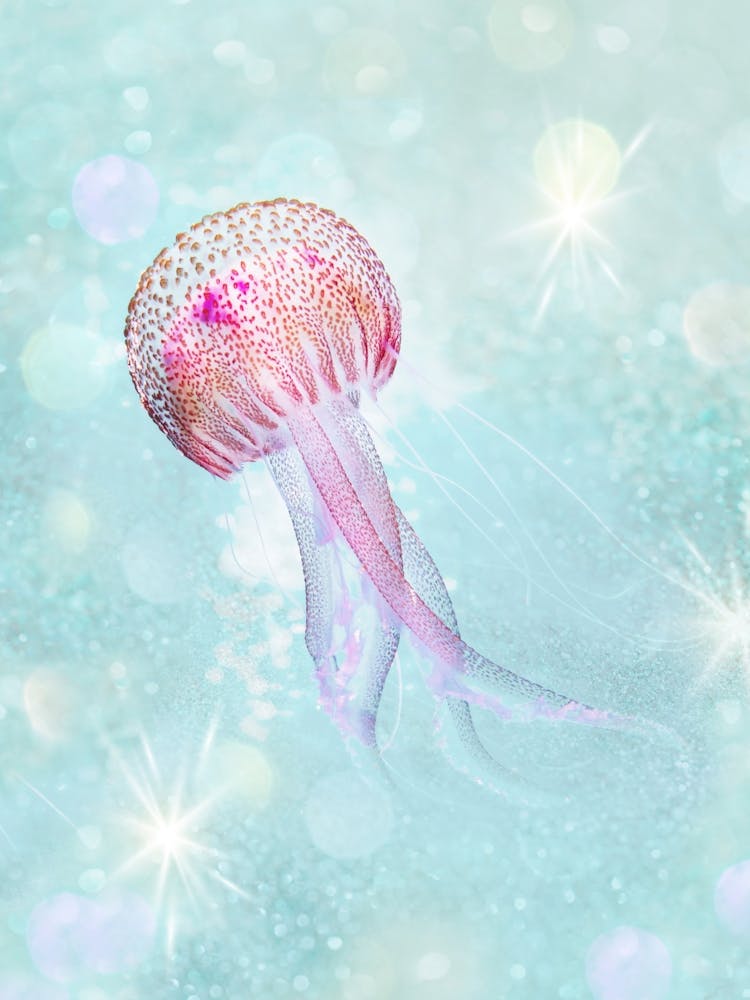 Glitter Jellyfish