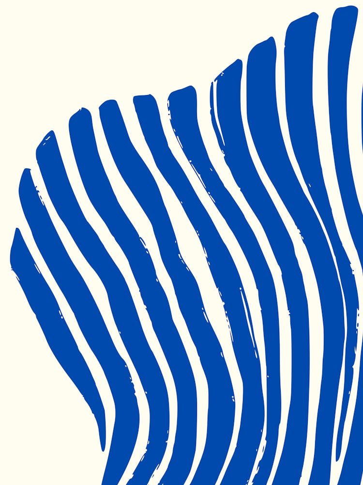 Blue And White Zebra Stripes
