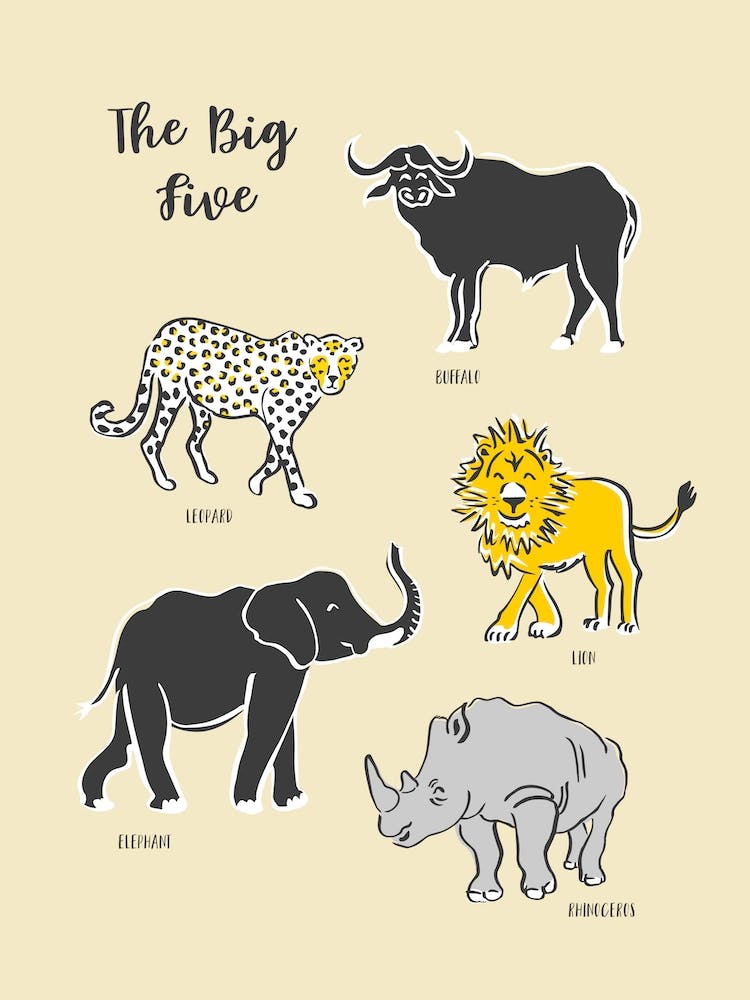 Big Five Safari