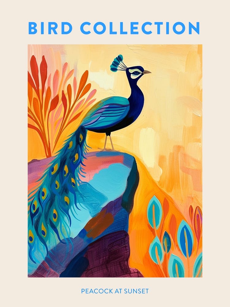 Peacock On A Cliff At Sunset Poster