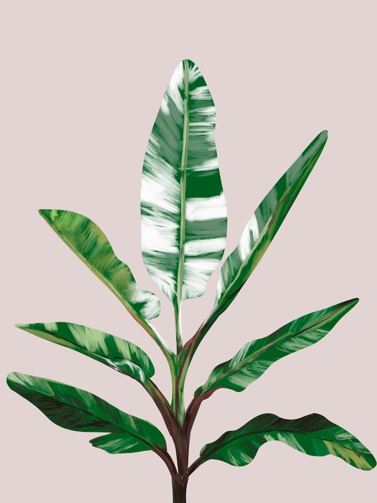 Green Palm