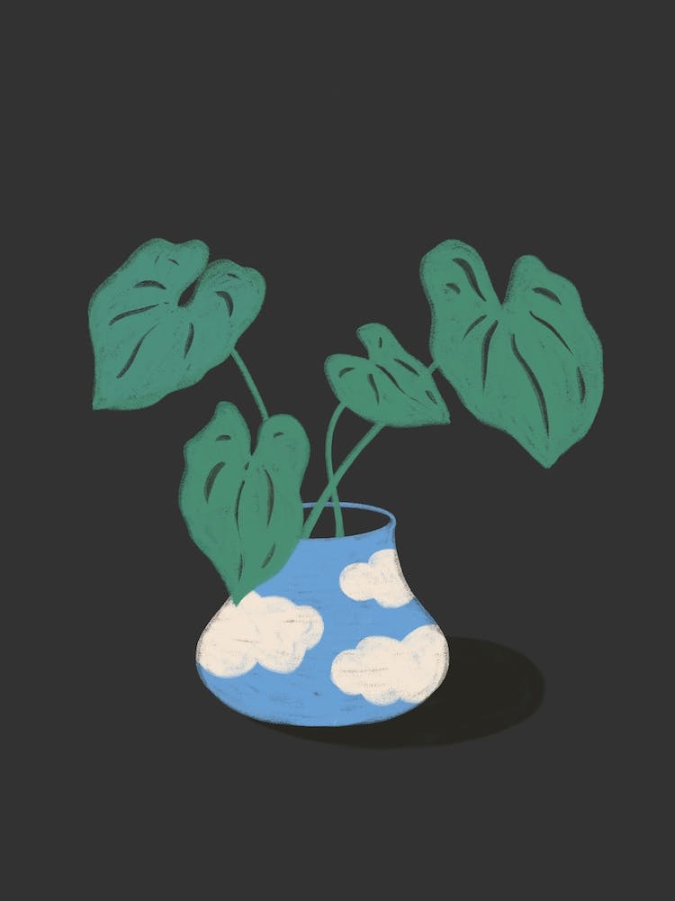 Cloudy Plant