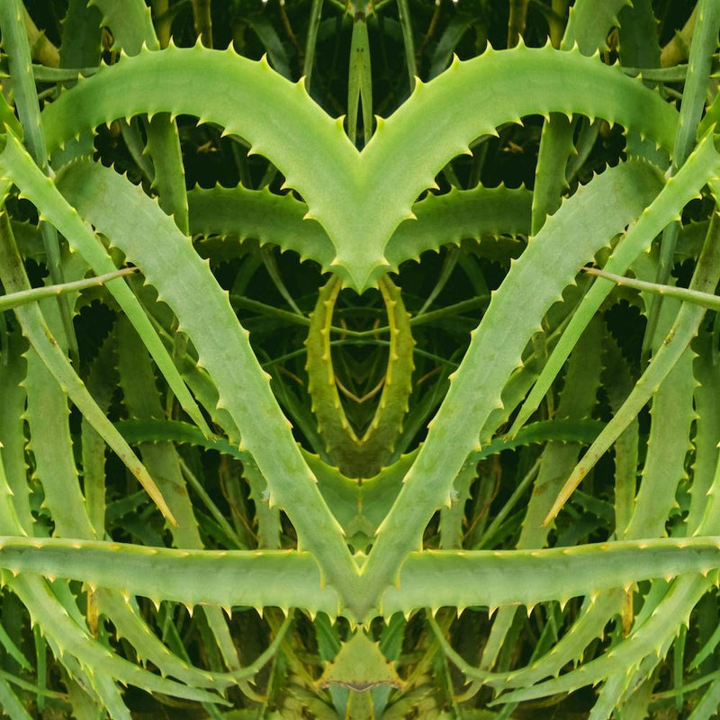Spiked
