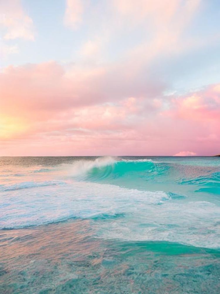 Jolly Beach, Antigua Pink Photography 1