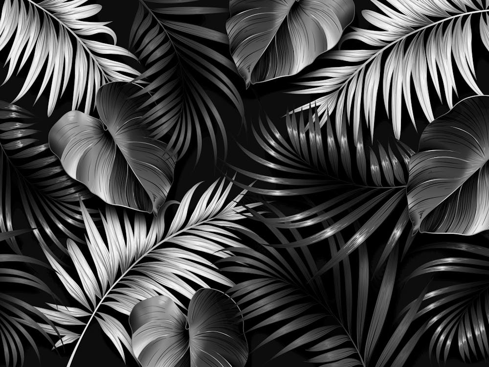 Black And White Tropical Leaves 3