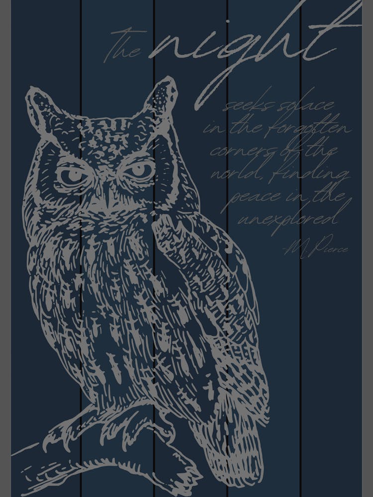 Night Owl Peace & Solace