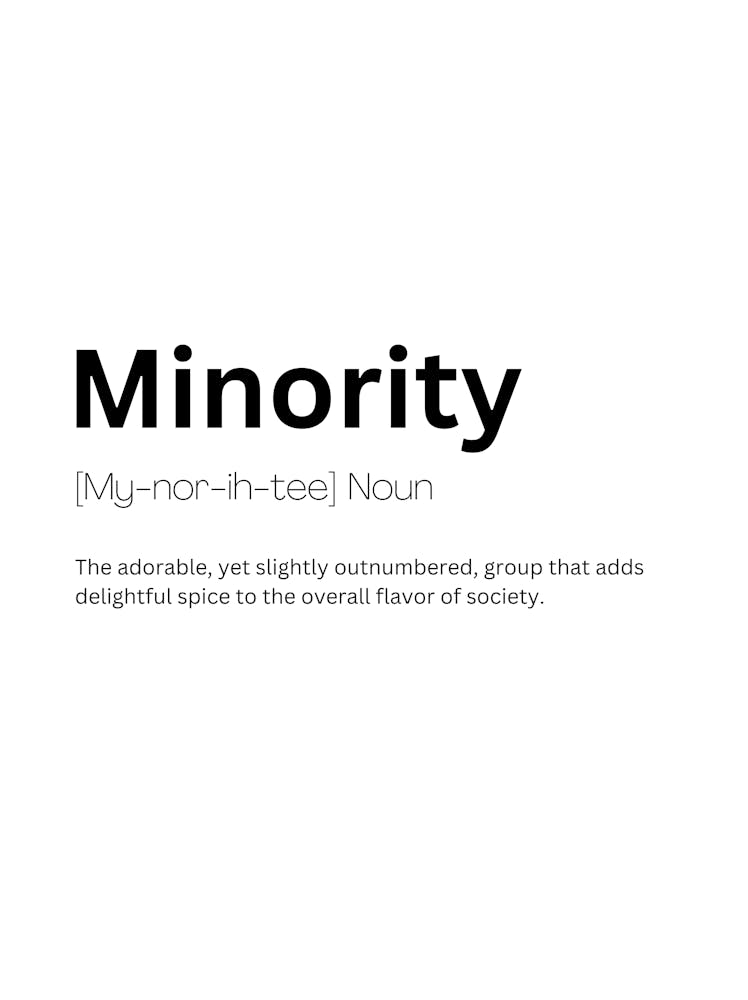 Minority Definition Meaning 1