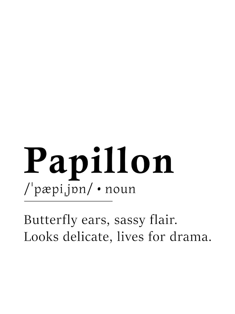 Papillon Definition Poster - Dictionary