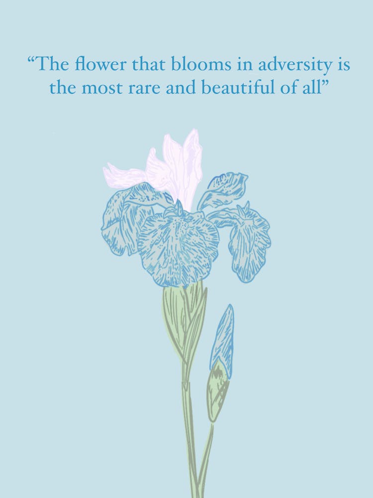 Flower That Blooms In Adversity Is The Most Rare And Beautiful Of All - blue 1