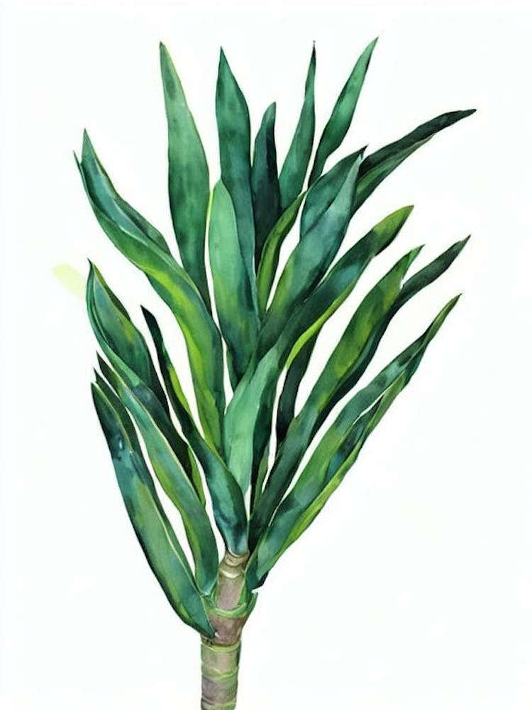 Screw Pine (Pandanus Veitchii) Watercolor