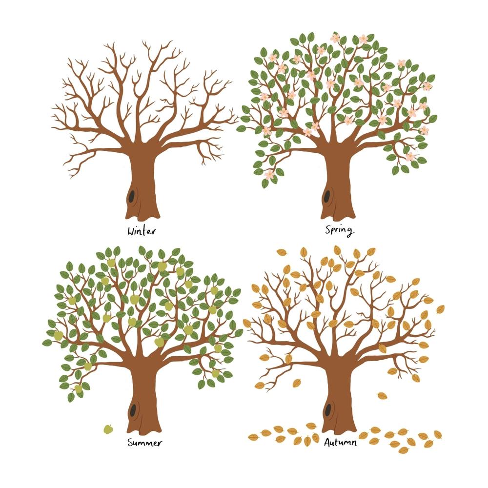 Seasons