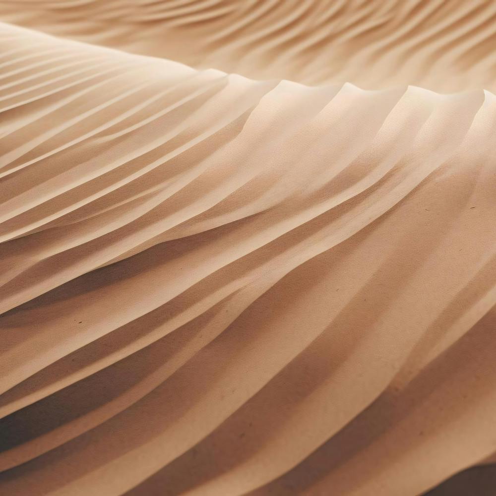 Sand Dunes In The Desert 3