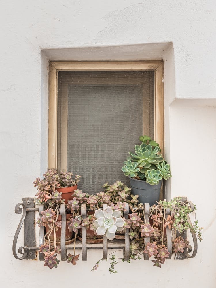 Window In A Village In Puglia In Italy