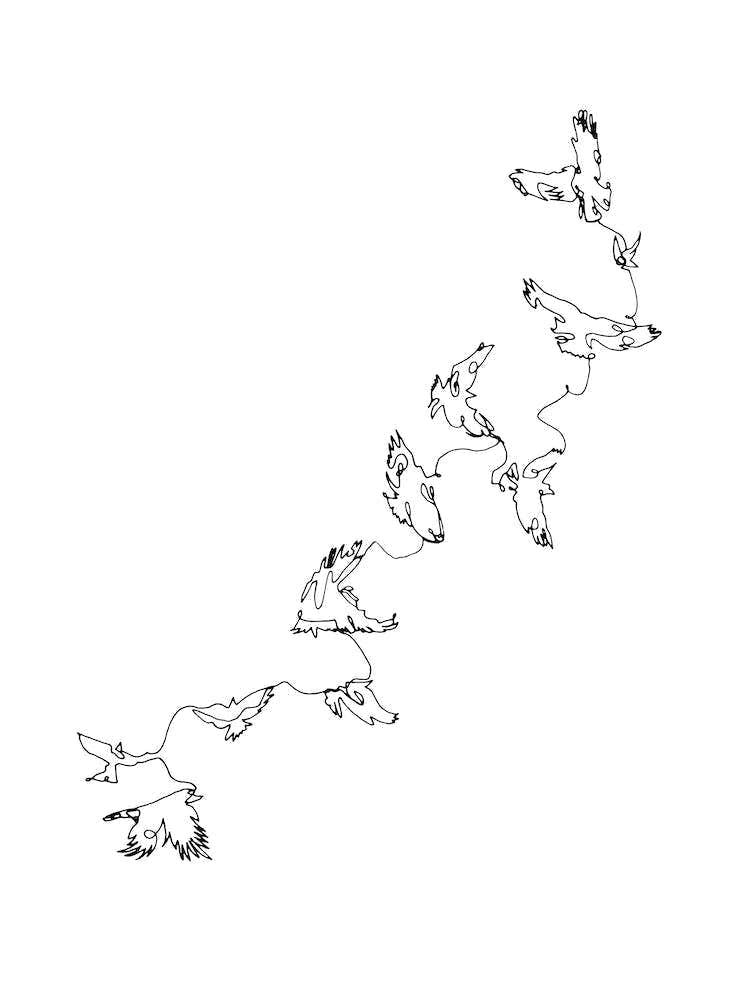 Black Connected in Flight