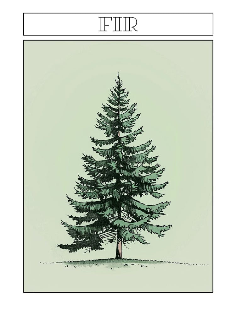 Fir Tree Minimalistic Drawing 3 Poster