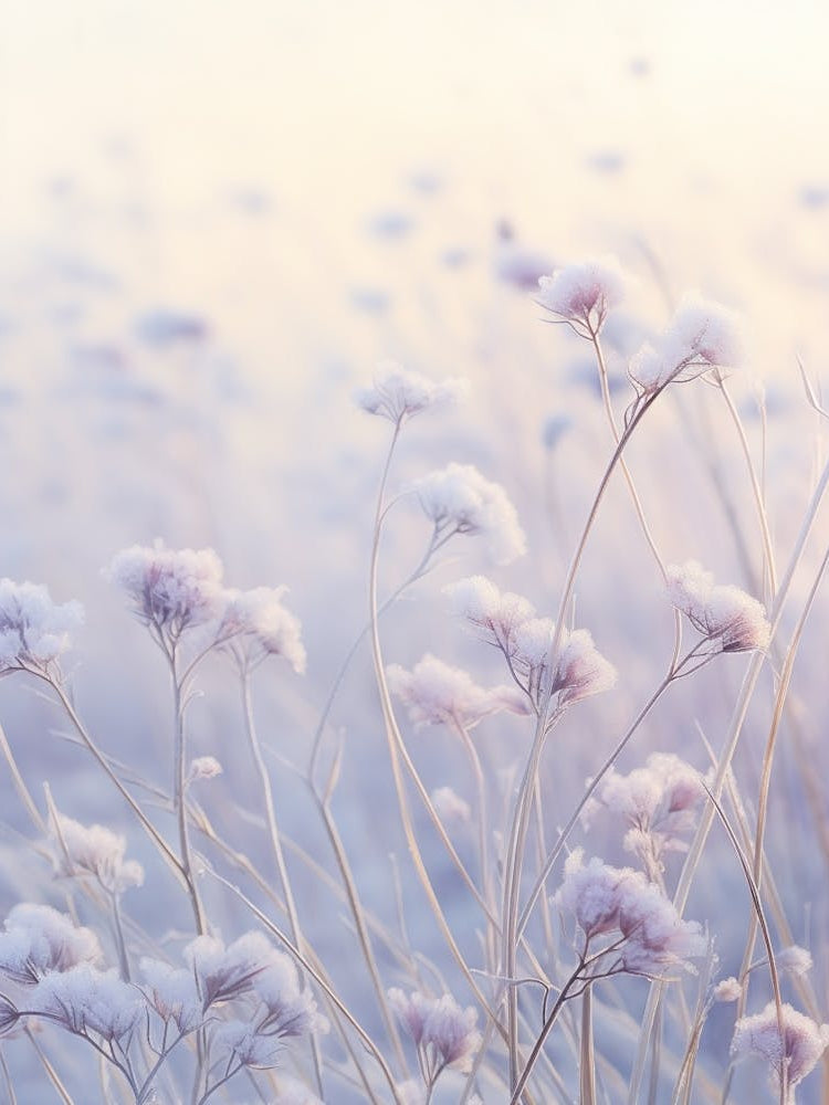 Frosty Botanical Statice