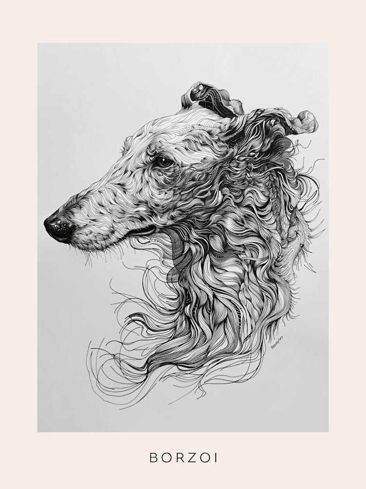 Borzoi Dog Line Sketch 1 Poster