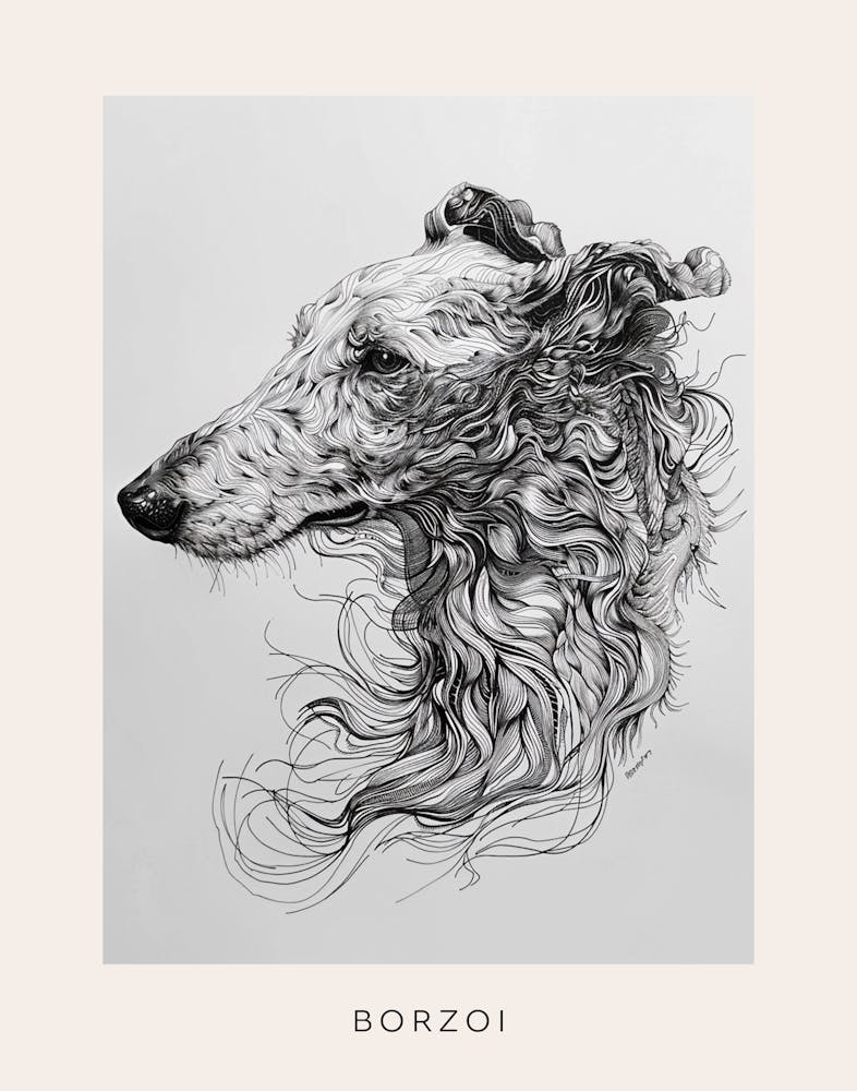 Borzoi Dog Line Sketch 1 Poster