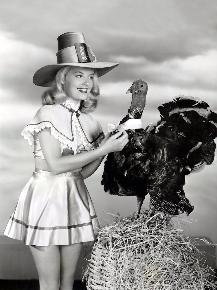 Beautiful Pin Up Girl With Thanksgiving Turkey