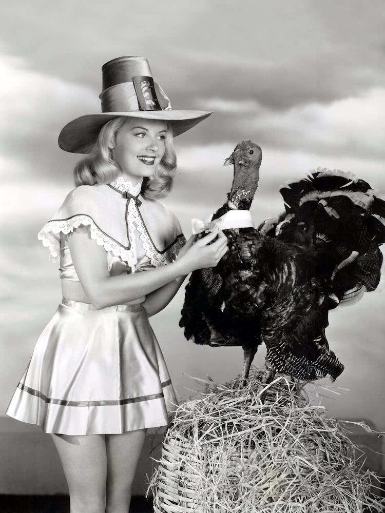 Beautiful Pin Up Girl With Thanksgiving Turkey