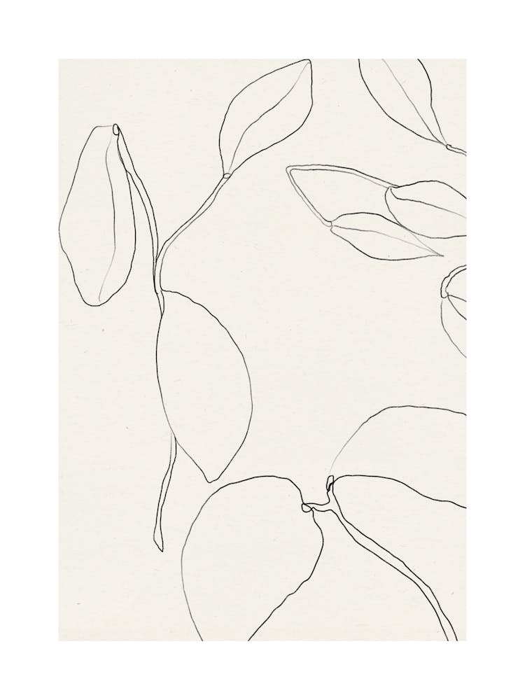 Vie Simple No 26