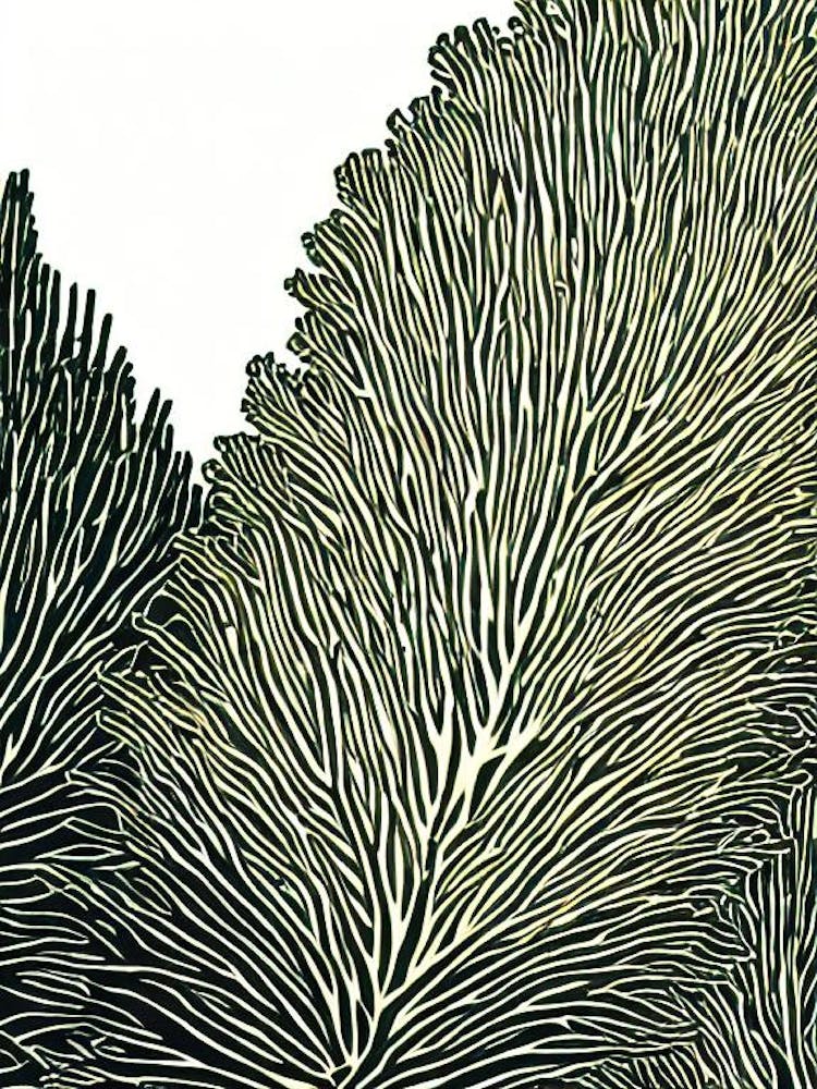 Acropora Verweyi Linocut