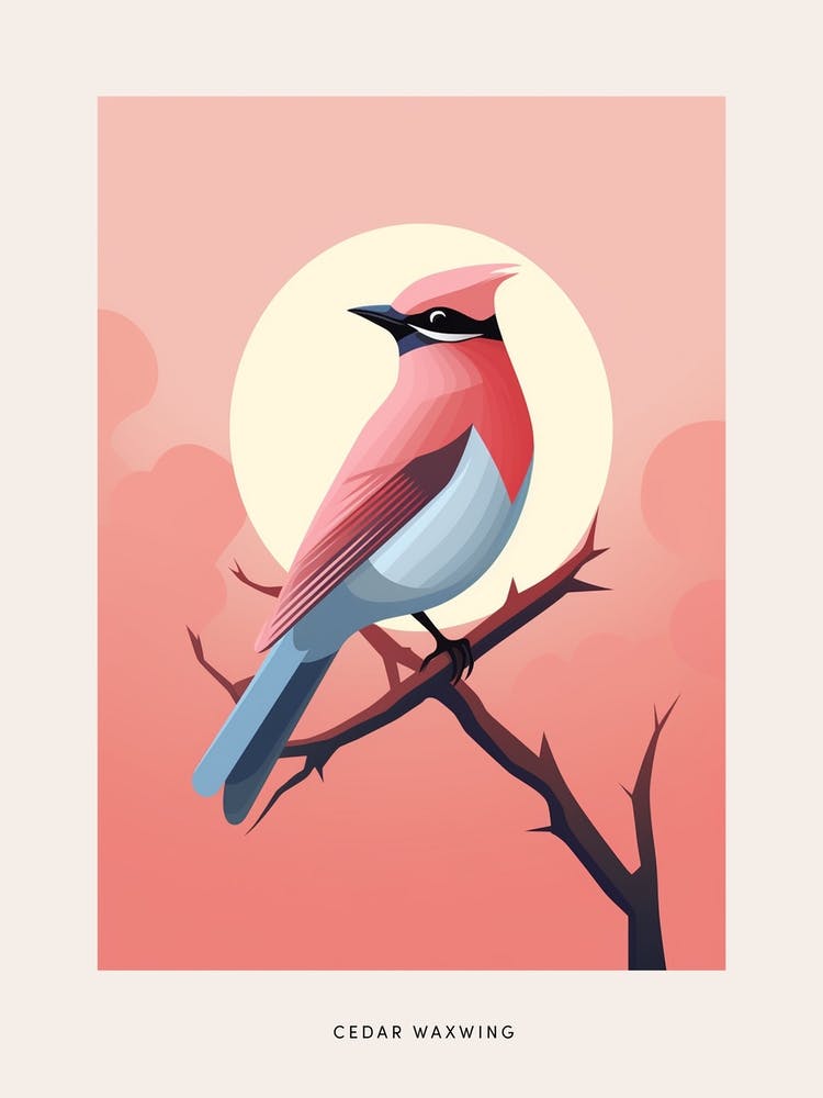 Minimalist Cedar Waxwing 4 Bird Poster