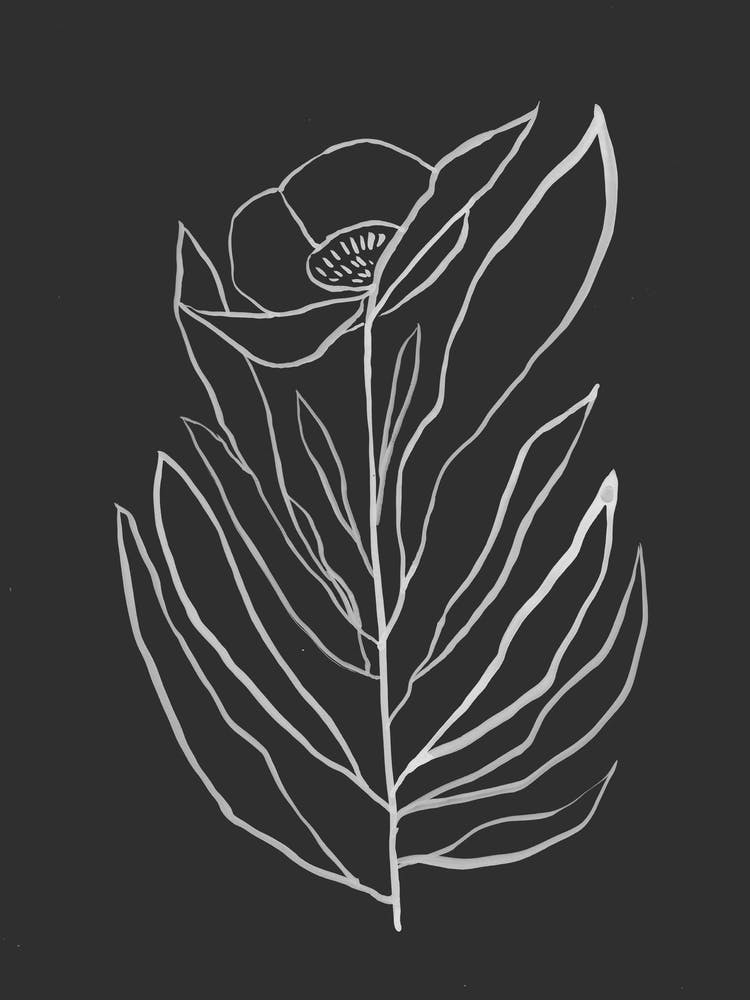 Royalrose