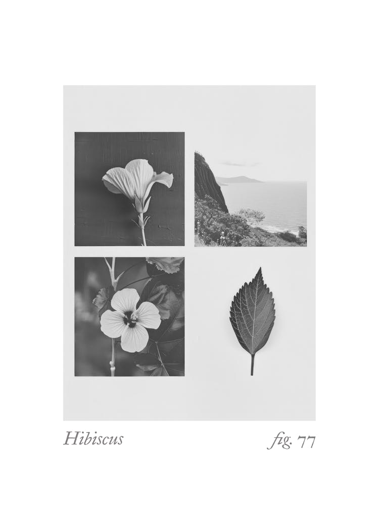 Hibiscus Botanical Collage 3